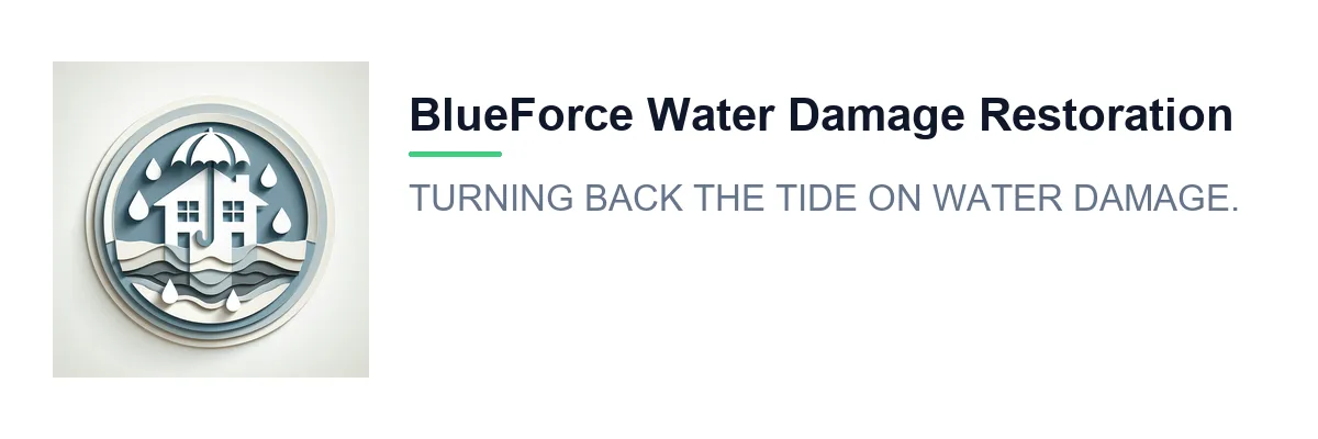 BlueForce Water Damage Restoration
